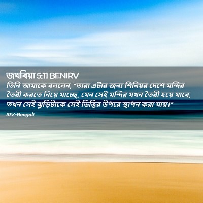 Picture 02 - জখৰিয়া 5:11 BENIRV - তিনি আমাকে বললেন, - Bible Verse Picture