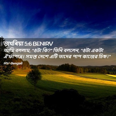 Picture 02 - জখৰিয়া 5:6 BENIRV - আমি বললাম, “ওটা - Bible Verse Picture