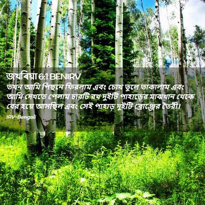 Picture 02 - জখৰিয়া 6:1 BENIRV - তখন আমি পিছনে - Bible Verse Picture