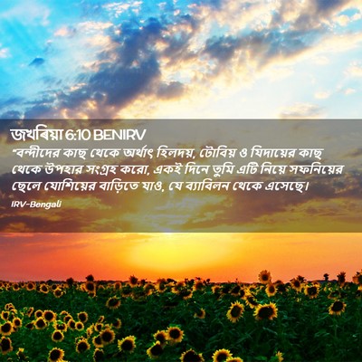 Picture 02 - জখৰিয়া 6:10 BENIRV - “বন্দীদের কাছ - Bible Verse Picture