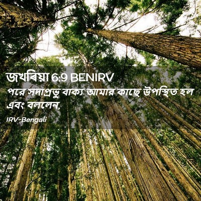 Picture 02 - জখৰিয়া 6:9 BENIRV - পরে সদাপ্রভু - Bible Verse Picture