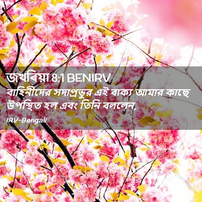Picture 02 - জখৰিয়া 8:1 BENIRV - বাহিনীদের - Bible Verse Picture