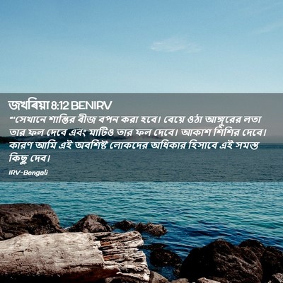 Picture 02 - জখৰিয়া 8:12 BENIRV - “‘সেখানে শান্তির - Bible Verse Picture