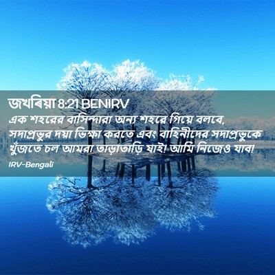 Picture 02 - জখৰিয়া 8:21 BENIRV - এক শহরের - Bible Verse Picture