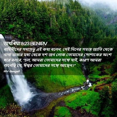 Picture 02 - জখৰিয়া 8:23 BENIRV - বাহিনীদের - Bible Verse Picture