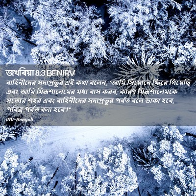 Picture 02 - জখৰিয়া 8:3 BENIRV - বাহিনীদের - Bible Verse Picture