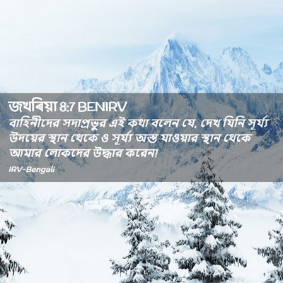Picture 02 - জখৰিয়া 8:7 BENIRV - বাহিনীদের - Bible Verse Picture