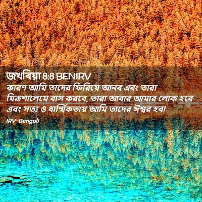 Picture 02 - জখৰিয়া 8:8 BENIRV - কারণ আমি তাদের - Bible Verse Picture