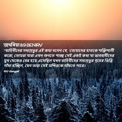 Picture 02 - জখৰিয়া 8:9 BENIRV - “বাহিনীদের - Bible Verse Picture