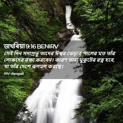 Picture 02 - জখৰিয়া 9:16 BENIRV - সেই দিন সদাপ্রভু - Bible Verse Picture