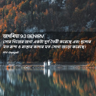 Picture 02 - জখৰিয়া 9:3 BENIRV - সোর নিজের জন্য - Bible Verse Picture
