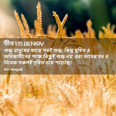Picture 02 - তীত 1:15 BENIRV - শুদ্ধ মানুষের - Bible Verse Picture