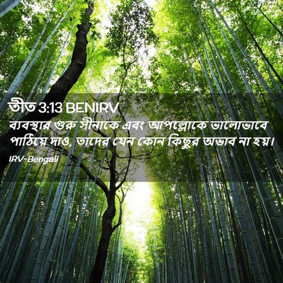 Picture 02 - তীত 3:13 BENIRV - ব্যবস্থার গুরু - Bible Verse Picture