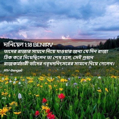 Picture 02 - দানিয়েল 1:18 BENIRV - তাদের রাজার সামনে - Bible Verse Picture