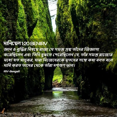Picture 02 - দানিয়েল 1:20 BENIRV - জ্ঞান ও বুদ্ধির - Bible Verse Picture