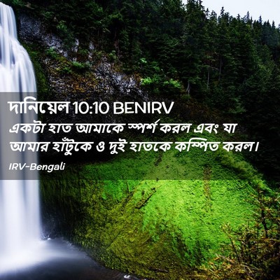Picture 02 - দানিয়েল 10:10 BENIRV - একটা হাত আমাকে - Bible Verse Picture