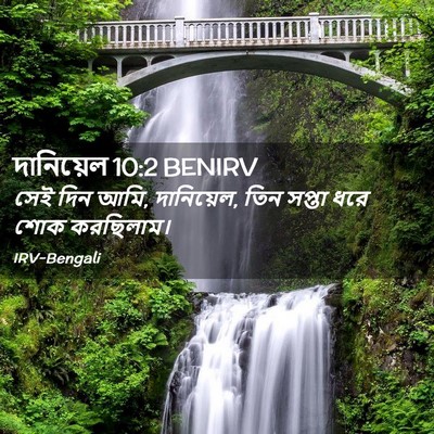 Picture 02 - দানিয়েল 10:2 BENIRV - সেই দিন আমি, - Bible Verse Picture