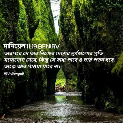 Picture 02 - দানিয়েল 11:19 BENIRV - তারপরে সে তার - Bible Verse Picture