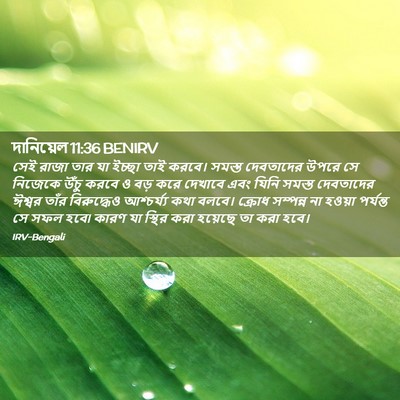 Picture 02 - দানিয়েল 11:36 BENIRV - সেই রাজা তার যা - Bible Verse Picture
