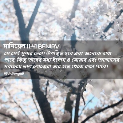 Picture 02 - দানিয়েল 11:41 BENIRV - সে সেই সুন্দর দেশে - Bible Verse Picture