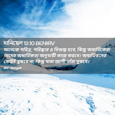 Picture 02 - দানিয়েল 12:10 BENIRV - অনেকে পবিত্র, - Bible Verse Picture