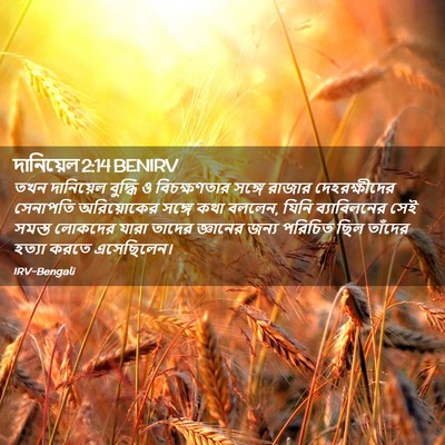 Picture 02 - দানিয়েল 2:14 BENIRV - তখন দানিয়েল - Bible Verse Picture