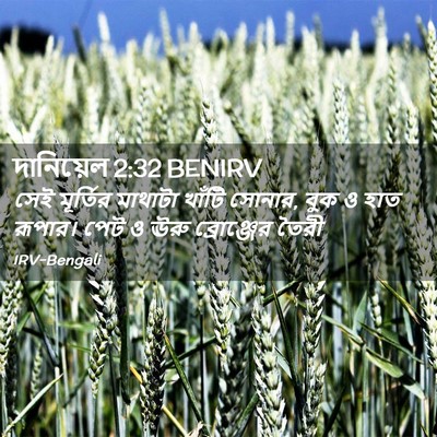 Picture 02 - দানিয়েল 2:32 BENIRV - সেই মূর্তির - Bible Verse Picture