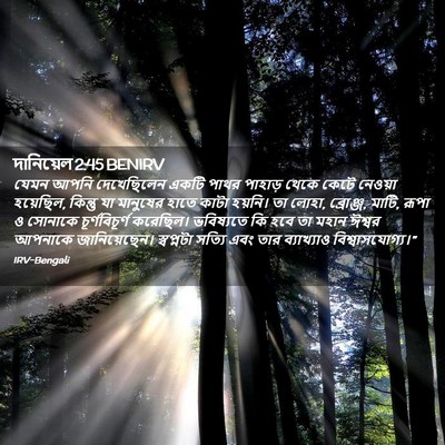 Picture 02 - দানিয়েল 2:45 BENIRV - যেমন আপনি - Bible Verse Picture