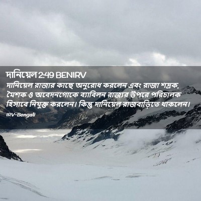 Picture 02 - দানিয়েল 2:49 BENIRV - দানিয়েল রাজার - Bible Verse Picture