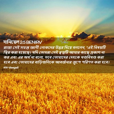 Picture 02 - দানিয়েল 2:5 BENIRV - রাজা সেই সমস্ত - Bible Verse Picture