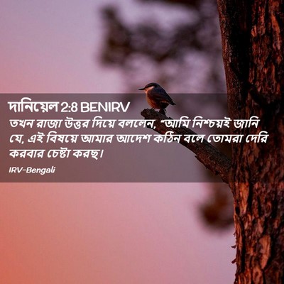Picture 02 - দানিয়েল 2:8 BENIRV - তখন রাজা উত্তর - Bible Verse Picture