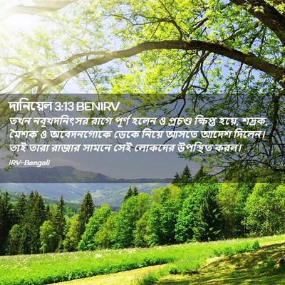 Picture 02 - দানিয়েল 3:13 BENIRV - তখন নবূখদনিৎসর - Bible Verse Picture