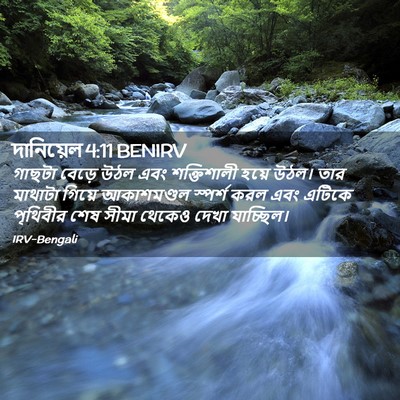 Picture 02 - দানিয়েল 4:11 BENIRV - গাছটা বেড়ে উঠল - Bible Verse Picture