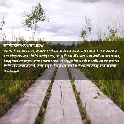 Picture 02 - দানিয়েল 4:23 BENIRV - আপনি, হে মহারাজ, - Bible Verse Picture