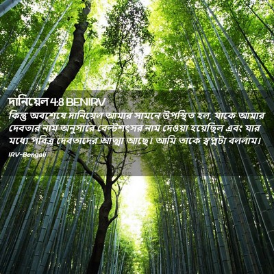 Picture 02 - দানিয়েল 4:8 BENIRV - কিন্তু অবশেষে - Bible Verse Picture