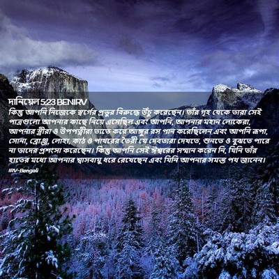 Picture 02 - দানিয়েল 5:23 BENIRV - কিন্তু আপনি - Bible Verse Picture