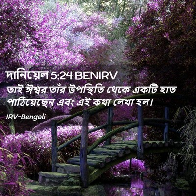Picture 02 - দানিয়েল 5:24 BENIRV - তাই ঈশ্বর তাঁর - Bible Verse Picture