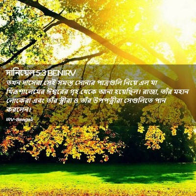 Picture 02 - দানিয়েল 5:3 BENIRV - তখন দাসেরা সেই - Bible Verse Picture