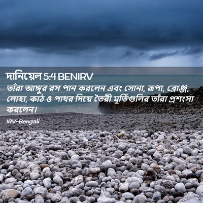 Picture 02 - দানিয়েল 5:4 BENIRV - তাঁরা আঙ্গুর রস - Bible Verse Picture