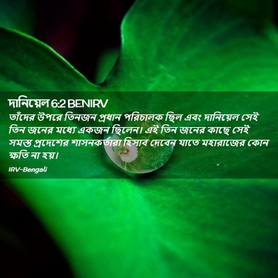 Picture 02 - দানিয়েল 6:2 BENIRV - তাঁদের উপরে তিনজন - Bible Verse Picture