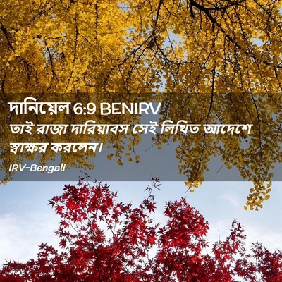 Picture 02 - দানিয়েল 6:9 BENIRV - তাই রাজা - Bible Verse Picture