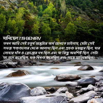 Picture 02 - দানিয়েল 7:19 BENIRV - তখন আমি সেই চতুর্থ - Bible Verse Picture