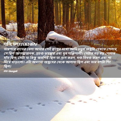 Picture 02 - দানিয়েল 7:7 BENIRV - তারপরে রাতের বেলা - Bible Verse Picture