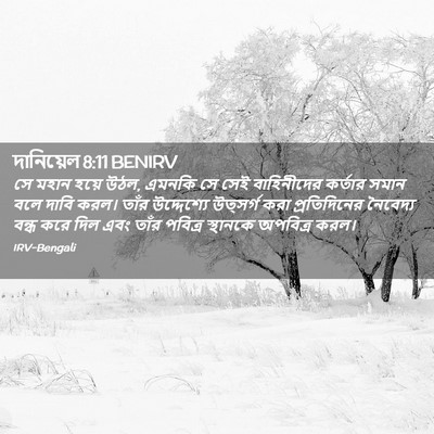 Picture 02 - দানিয়েল 8:11 BENIRV - সে মহান হয়ে উঠল, - Bible Verse Picture