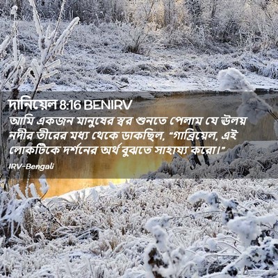 Picture 02 - দানিয়েল 8:16 BENIRV - আমি একজন মানুষের - Bible Verse Picture
