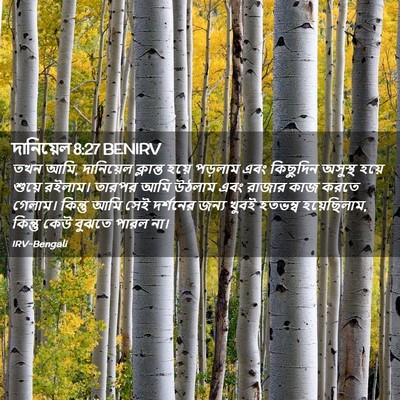 Picture 02 - দানিয়েল 8:27 BENIRV - তখন আমি, দানিয়েল - Bible Verse Picture