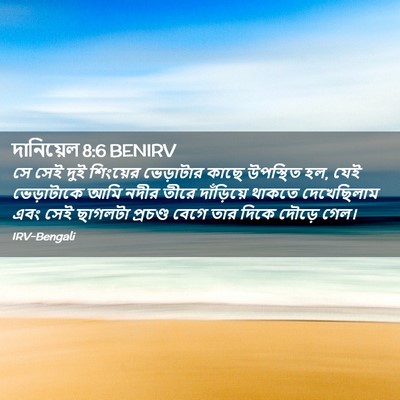 Picture 02 - দানিয়েল 8:6 BENIRV - সে সেই দুই শিংয়ের - Bible Verse Picture