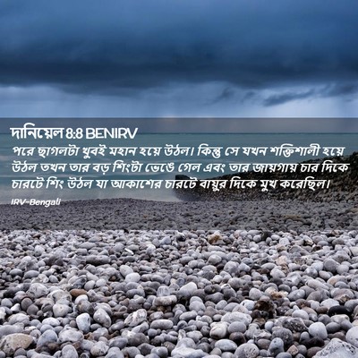 Picture 02 - দানিয়েল 8:8 BENIRV - পরে ছাগলটা খুবই - Bible Verse Picture