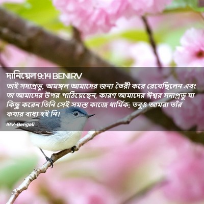 Picture 02 - দানিয়েল 9:14 BENIRV - তাই সদাপ্রভু, - Bible Verse Picture