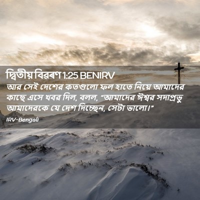 Picture 02 - দ্বিতীয় বিৱৰণ 1:25 BENIRV - আর সেই দেশের - Bible Verse Picture